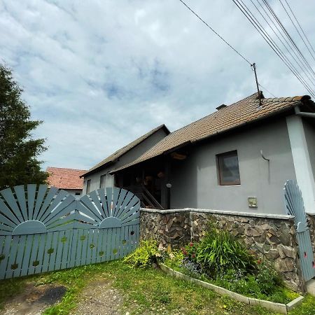 Casa De Oaspeti Cristina Fitod Exterior photo