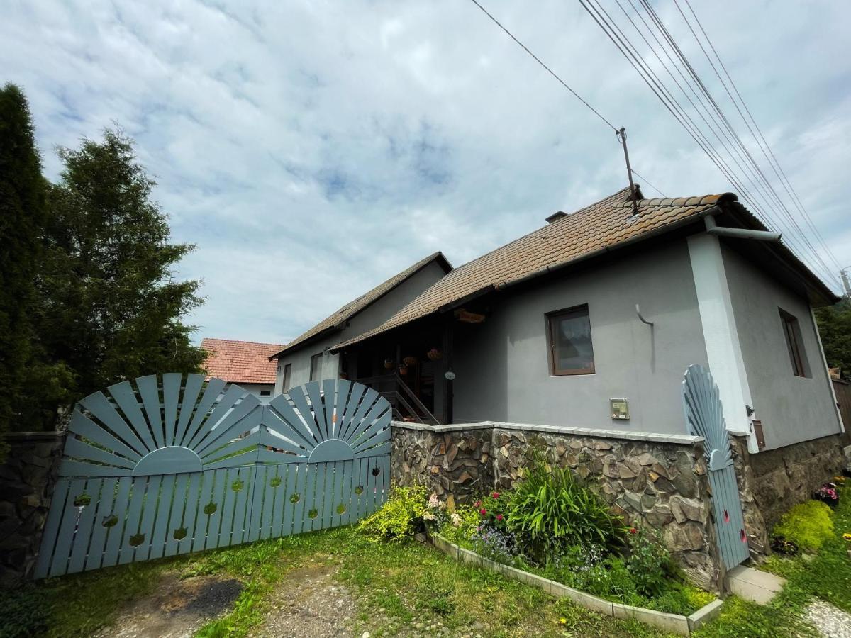 Casa De Oaspeti Cristina Fitod Exterior photo
