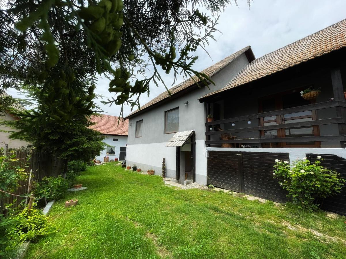 Casa De Oaspeti Cristina Fitod Exterior photo